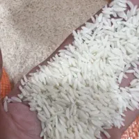 برنج هاشمی درجه یک خمام