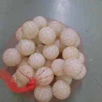 توپ سفید استخری