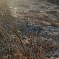 فروش زمین 250متر دو نبش سند تک برگ|فروش زمین و ملک کلنگی|فشاپویه, |دیوار