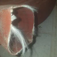 لوله تاشوآتش نشانی