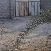 فروش دامداری در مجتمع دامداری بردغان بندرلنگه