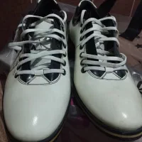 کفش|کیف، کفش، کمربند|ارومیه, |دیوار