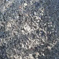 پوست بادام خشک شده برای دام