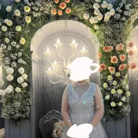 پیراهن مجلسی سنگ دوزی شده|لباس|ساری, |دیوار