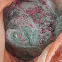 شادگان.روستای.گیداری|ماهیگیری|شادگان, |دیوار