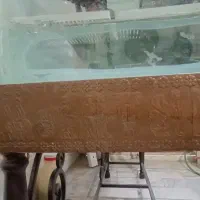 آکواریوم درجه یک|ماهی|بروجرد, |دیوار