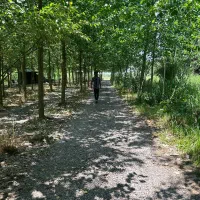 ویلایی از جز به کلش قشنگه|فروش خانه و ویلا|محمدشهر, زیبادشت|دیوار