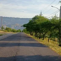 زمین و املاک
