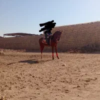 اسب کرند|اسب و تجهیزات اسب‌سواری|اصفهان, نقش جهان|دیوار