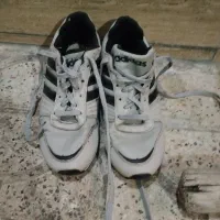 کفش|کیف، کفش، کمربند|مشهد, خواجه ربیع|دیوار