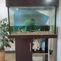 فروش اکواریوم با تمام وسایل کامل فقط ۴تومان