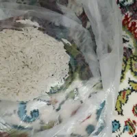 برنج هاشمی|عمدهفروشی|رشت, انصاری|دیوار