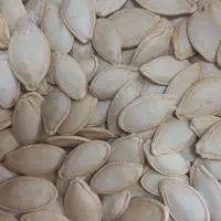 تخمه کدو|خوردنی و آشامیدنی|شیراز, شهرک کوشکک|دیوار