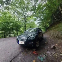 لیفان X60 معاوضه با پرند|خودرو سواری و وانت|تهران, ورزشگاه آزادی|دیوار