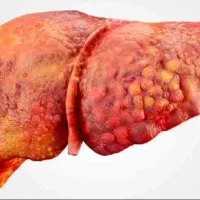 آشپزخونه بدن را دریاب