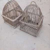قفس کبگ خوب