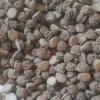 قروت و کره گاو محلی