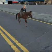 پز و کاور اسینم