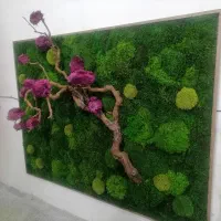 تثبیت خزه های طبیعی و رزین روی دیوار