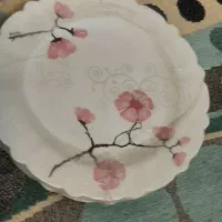 ظرف غذا خوری|ظروف سرو و پذیرایی|زاهدان, |دیوار