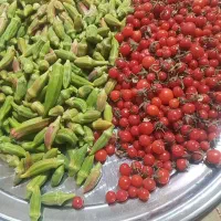 گوجه آلبالویی