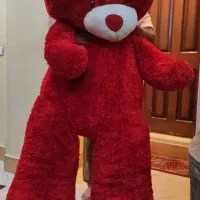 خرس بزرگ نو