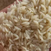 برنج میانه|خوردنی و آشامیدنی|تبریز, |دیوار