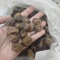 ۵ کیلو خرمای برحی محلی|خوردنی و آشامیدنی|اهواز, پردیس دو|دیوار