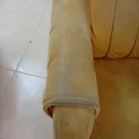 مبل شویی تخصصی پاکان(جشنواره تخفیف زمستانه)|خدمات نظافت|پاکدشت, پاکدشت (مامازند)|دیوار