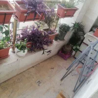 فروش آپارتمان ۸۰ متری ۲ خوابه در قنات‌کوثر|فروش آپارتمان|تهران, قنات‌کوثر|دیوار