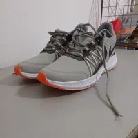 کفش نو سایز43 44