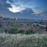 فروش-فوری-زمین-به-قیمت-آزادمون-شهرکی