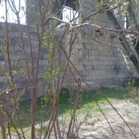 زمین-کشاورزی