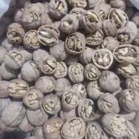 گردوی کردستان|خوردنی و آشامیدنی|مشهد, چهارچشمه|دیوار