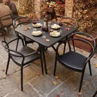 میز پلاستیکی صندلی ناهار خوری مجلس باغ کافه