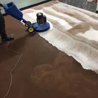 مبل شویی و قالی شویی میلان|خدمات نظافت|شیراز, عادل آباد|دیوار