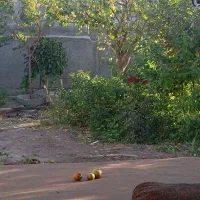 خانه گلزار بردسیر 14 قصب سوییت 80 متری