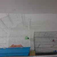 دوعددقفس بلبل وغیره