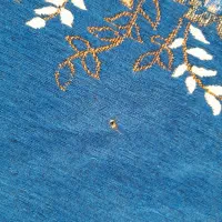 روفرشی ۶ متری|روفرشی|اشترینان, |دیوار