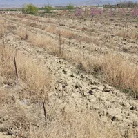 زمین حاشیه جاده/تهاتر /معاوضه|فروش زمین و ملک کلنگی|گلبهار, نوبهار|دیوار