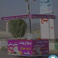 واگذاری شغل یخ در بهشت و بستنی