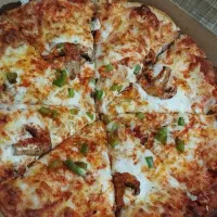 پیتزا ساندویچ با پیک رایگان