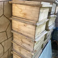 کندوی زنبور