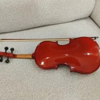 ویلن  مولر 2/4|ویولن|سنندج, |دیوار