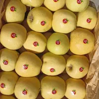 سیب سردخانه استخوانی