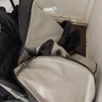 کالسکه دوقلو دلیجان|کالسکه و لوازم جانبی|قم, انسجام|دیوار