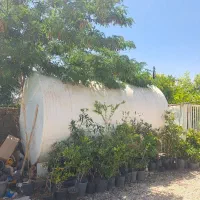 تانکر ۲۰۰۰۰لیتری اهنی در حد نو