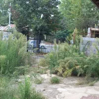 ۳۷۰ متر زمین با ۱۰۰ متر بنا مناسب همه شغل|اجارهٔ مغازه و غرفه|رشت, پیله داربن|دیوار