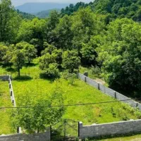 زمین دور دیوار با سندششدانگ چسبیده به جنگل