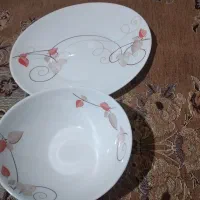 سرویس ۲۴ نفره ارکوپال